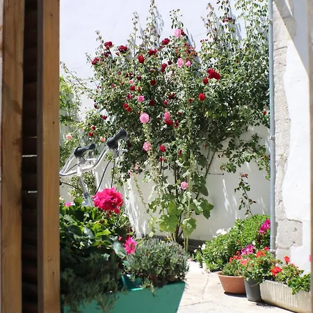 Belle Location Et Grande Terrasse Prives * La Couarde-sur-Mer