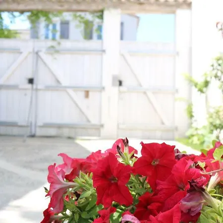 Daire Belle Location Et Grande Terrasse Prives