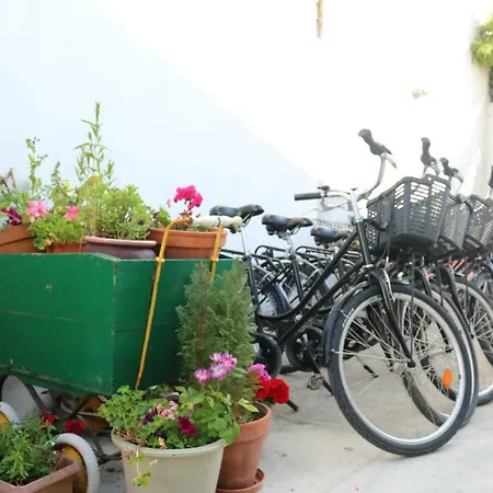 Belle Location Et Grande Terrasse Prives Appartement