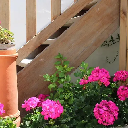 Belle Location Et Grande Terrasse Prives Appartement La Couarde-sur-Mer