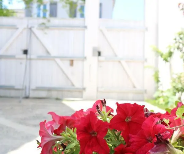 Apartment Belle Location Et Grande Terrasse Prives